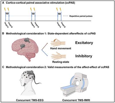 Cortico-cortical paired associative stimulation: a novel neurostimulation solution for modulating brain connectivity and networks
